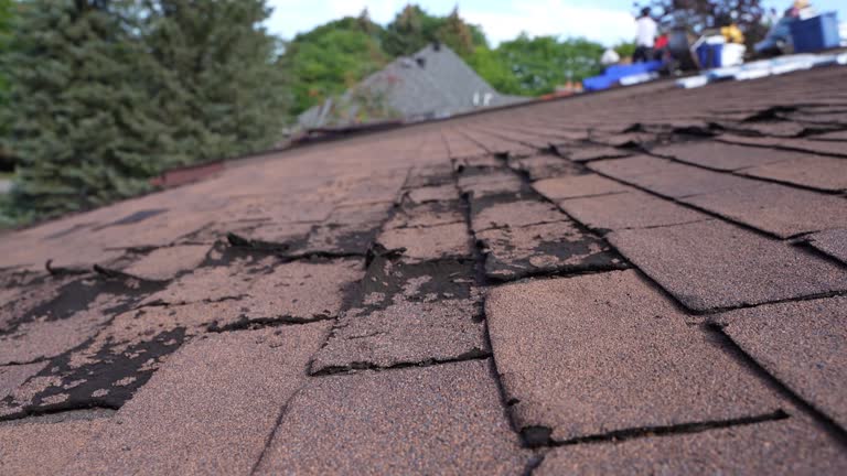 Best Green or Eco-Friendly Roofing Solutions  in Sturgis, MI