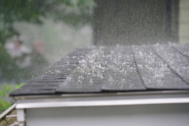 Best Sheet Metal Roofing  in Sturgis, MI