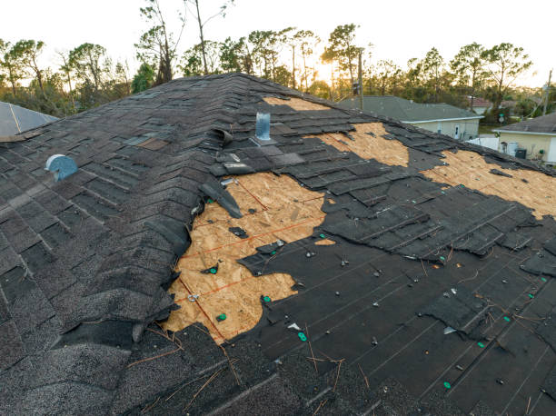 Best Roof Leak Repair  in Sturgis, MI