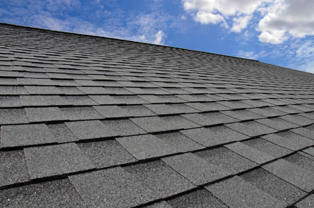Best Wood Shake Roofing  in Sturgis, MI